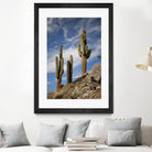 Photograph 9 by Aaron Matheson on GIANT ART - green landscape