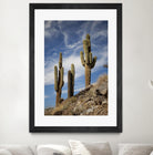 Photograph 9 by Aaron Matheson on GIANT ART - green landscape