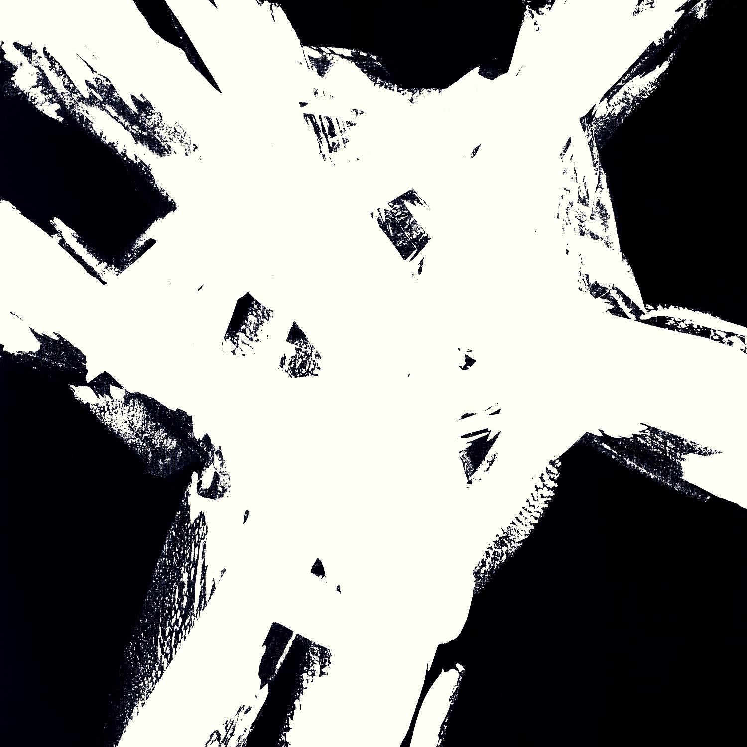 Shadow Complex V2 by Jeff Iorillo on GIANT ART - black abstract black