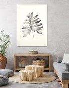 Black & White Palm II by Patti Mann on GIANT ART - grey botany