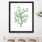 Sea Coral I V1 by Patti Mann on GIANT ART - blacks organic shapes