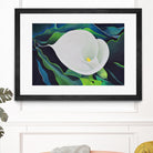 CALLA LILY by LINDA STELLING on GIANT ART - blue floral tropical floral