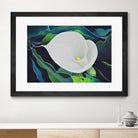 CALLA LILY by LINDA STELLING on GIANT ART - blue floral tropical floral