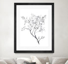 Airy Blooms II by Kayleigh Wold on GIANT ART - florals