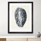 Coastal Collection in Indigo III by Vision Studio on GIANT ART - blue tropical