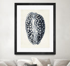 Coastal Collection in Indigo III by Vision Studio on GIANT ART - blue tropical