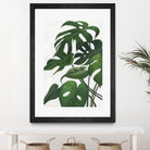 Pura Vida I by Grace Popp on GIANT ART - green coastal & tropical abstract 