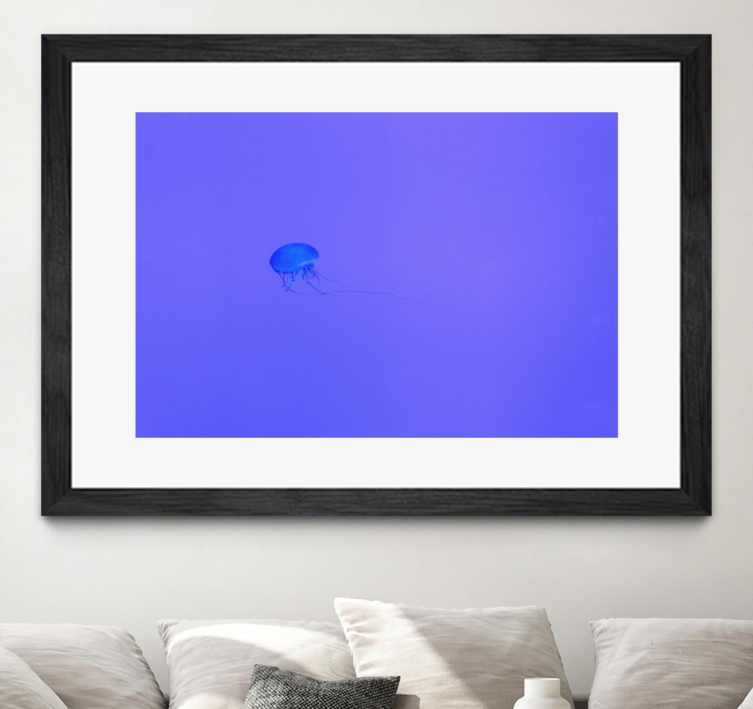 Jellyfish Jam by Pexels on GIANT ART - purple animals