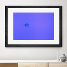 Jellyfish Jam by Pexels on GIANT ART - purple animals