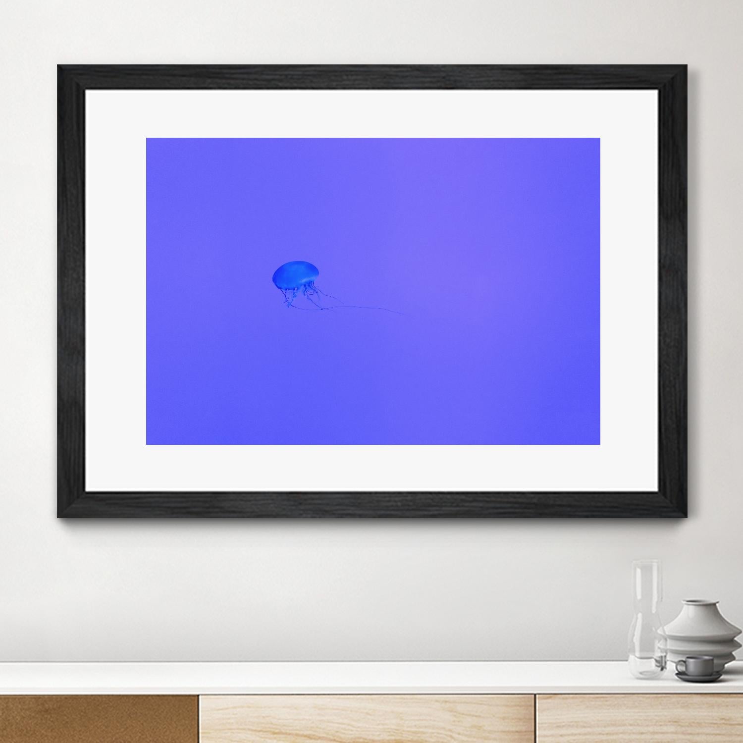 Jellyfish Jam by Pexels on GIANT ART - purple animals
