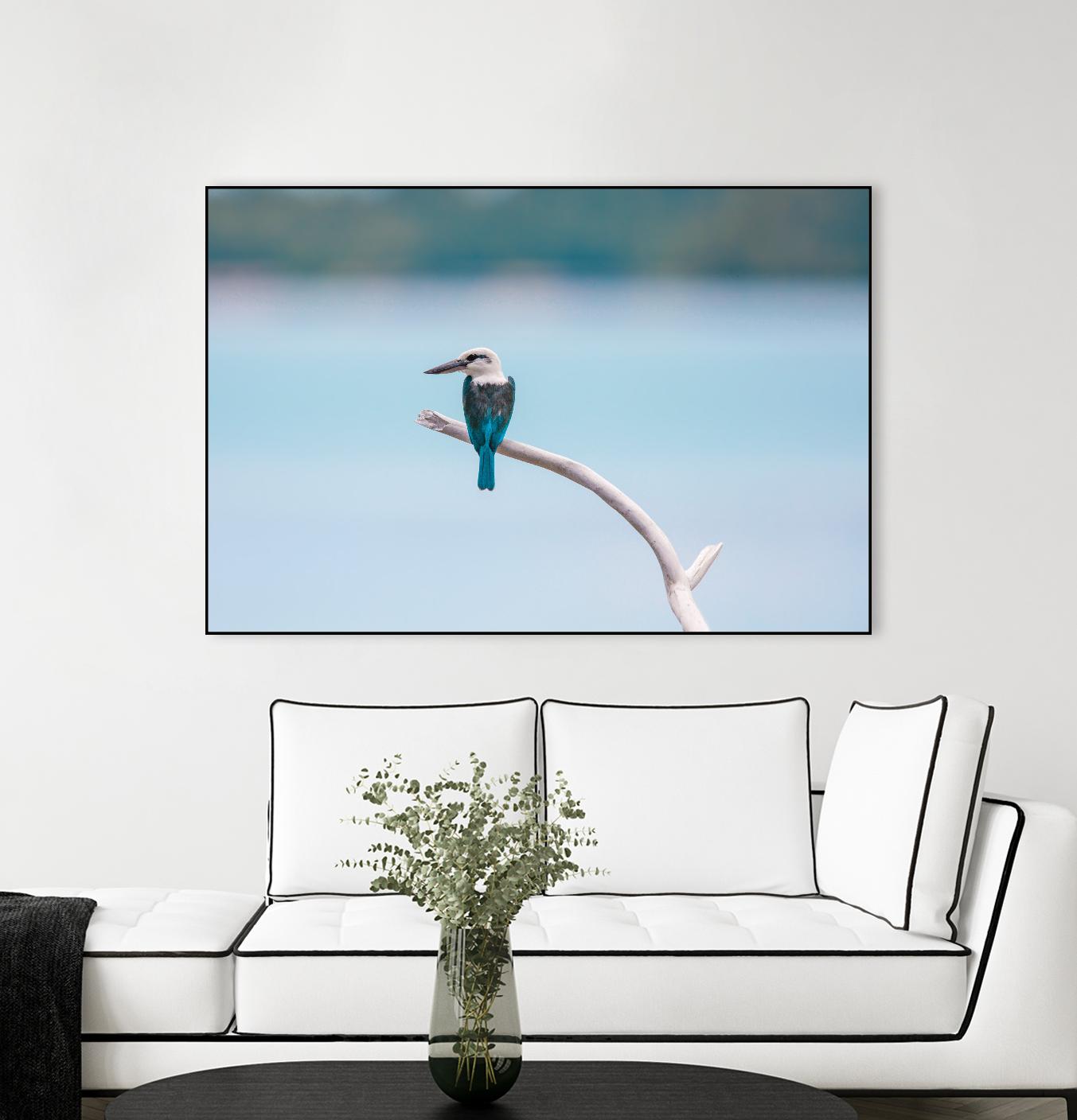 Bird on a branch by Pexels on GIANT ART - white animals