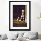 Siblings by Pexels on GIANT ART - yellow animals