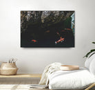 Hiding Koi by Pexels on GIANT ART - orange animals