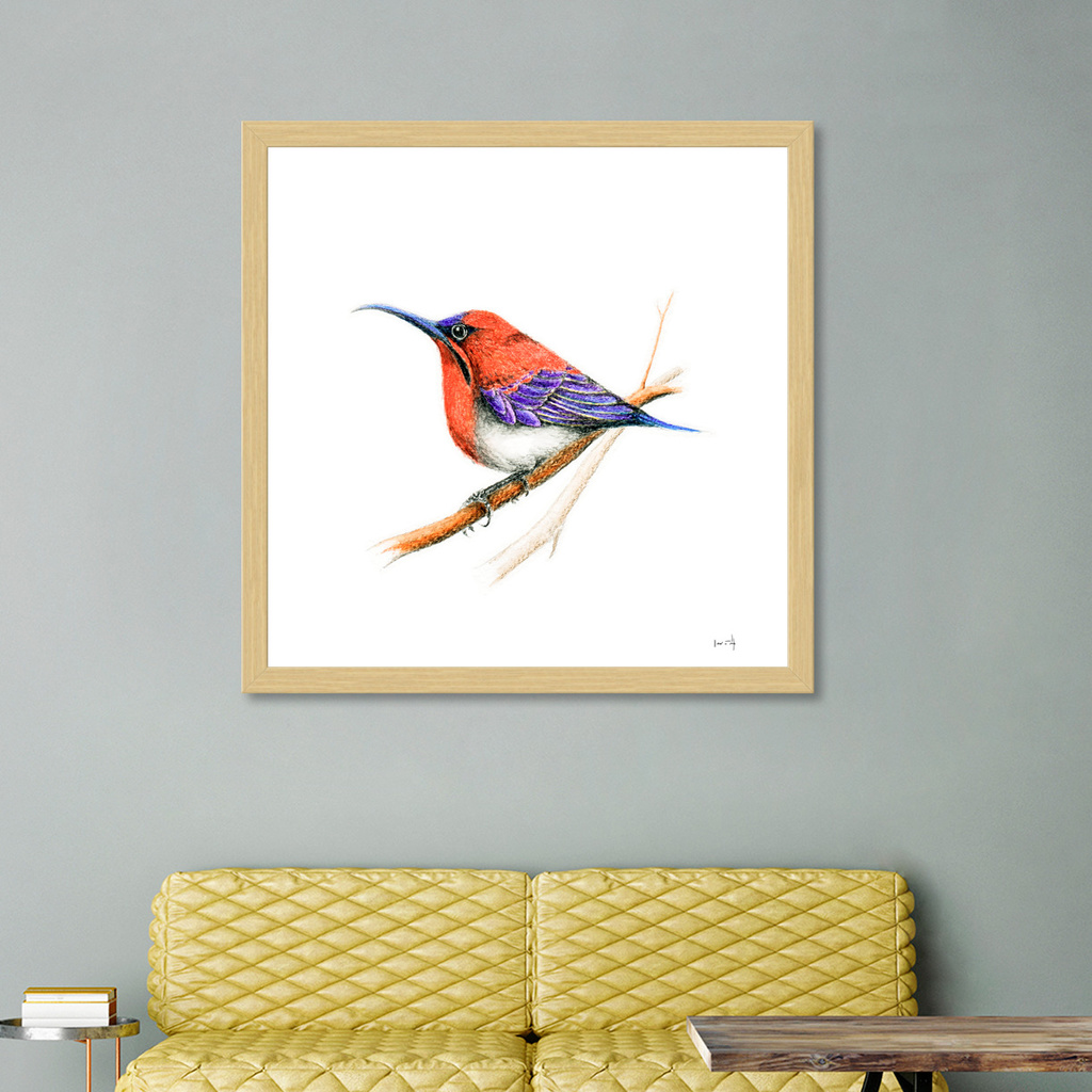 «Bird: Sunbird» Art Print by Det Tidkun | Curioos