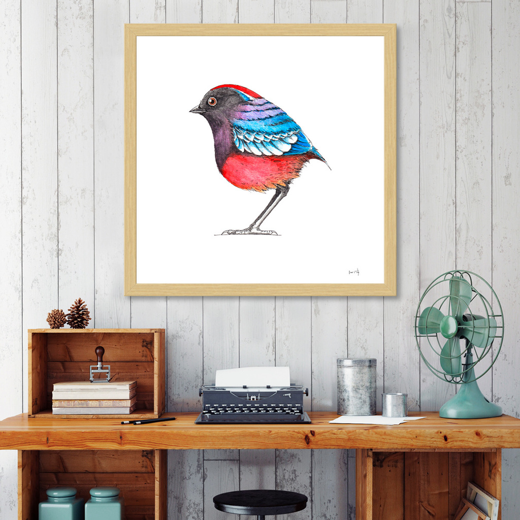 «Bird: Garnet Pitta» Art Print by Det Tidkun | Curioos