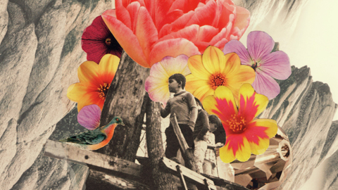 Collages, by Laura Redburn